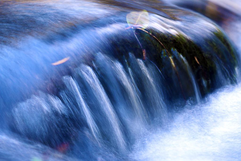 Refugio Ecologico Amadamata Ξενοδοχείο Nova Friburgo Εξωτερικό φωτογραφία