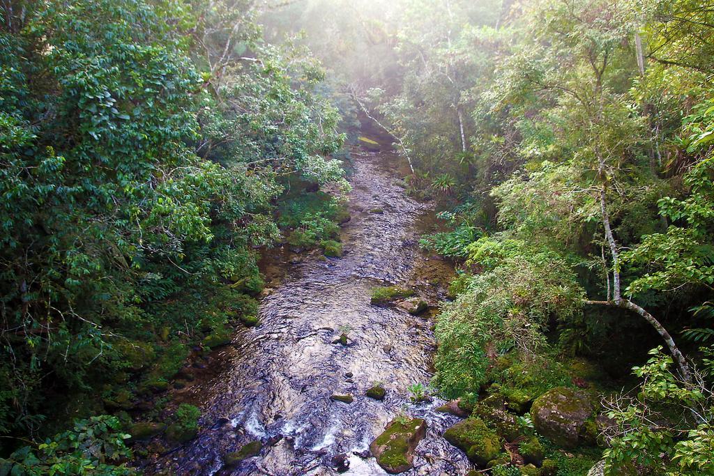 Refugio Ecologico Amadamata Ξενοδοχείο Nova Friburgo Εξωτερικό φωτογραφία