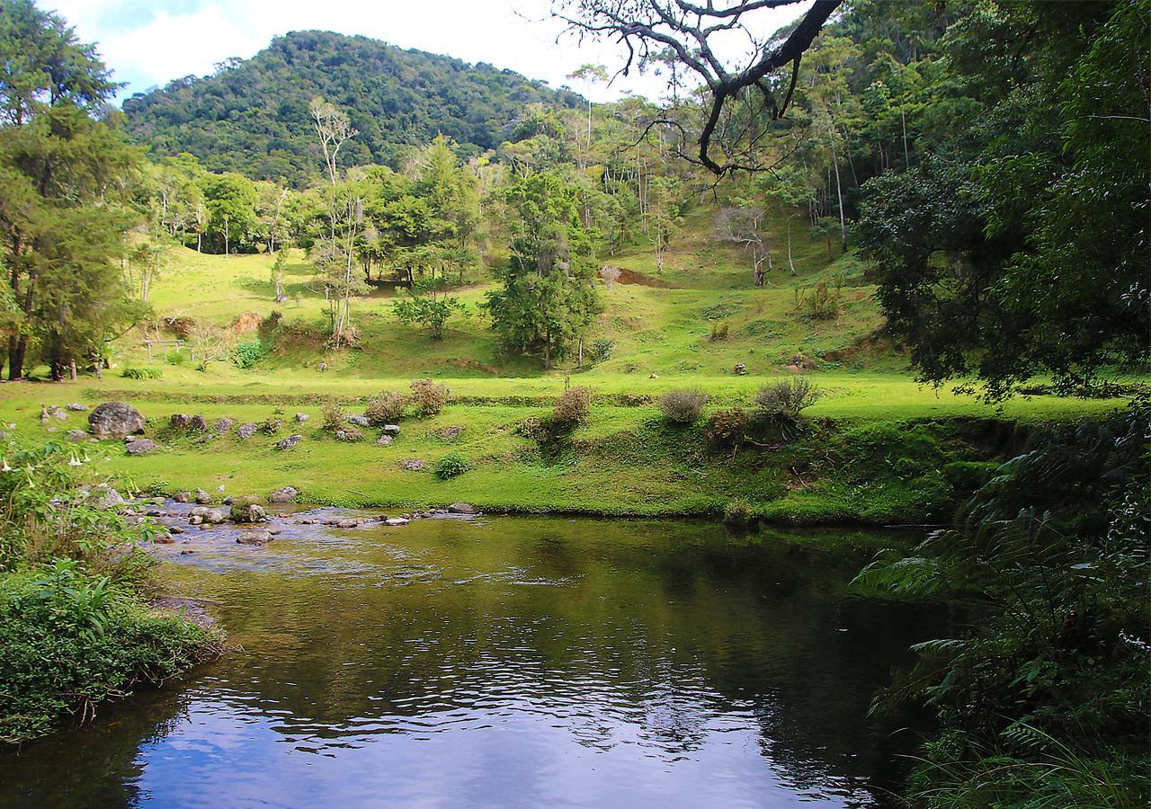 Refugio Ecologico Amadamata Ξενοδοχείο Nova Friburgo Εξωτερικό φωτογραφία