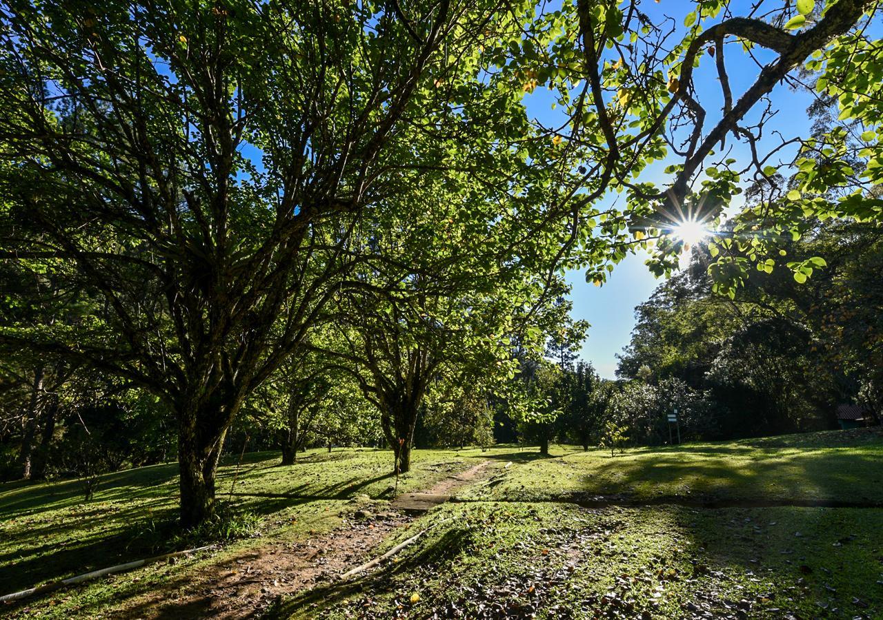 Refugio Ecologico Amadamata Ξενοδοχείο Nova Friburgo Εξωτερικό φωτογραφία
