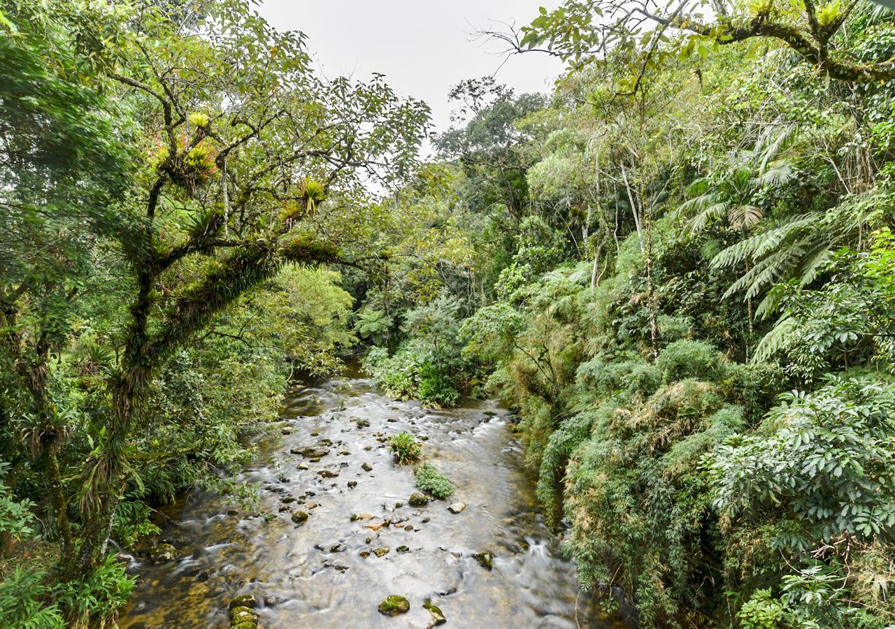 Refugio Ecologico Amadamata Ξενοδοχείο Nova Friburgo Εξωτερικό φωτογραφία